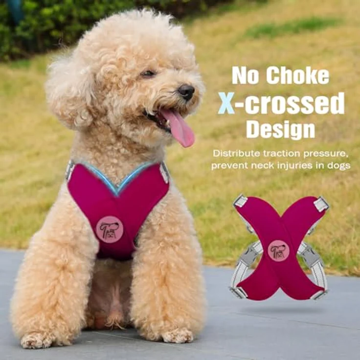Pawaboo Hundegeschirr Set, Verstellbares Anti-Zug Brustgeschirr mit Leine für Kleine und Mittelgroße Hunde, Atmungsaktive Weste, Größe S, Magenta – Bild 3