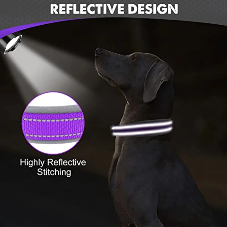 Joytale Hundehalsband, Gepolstertes Neopren Halsband für große Hunde, Nylon mit reflektierenden Nähten, Lila – Bild 4