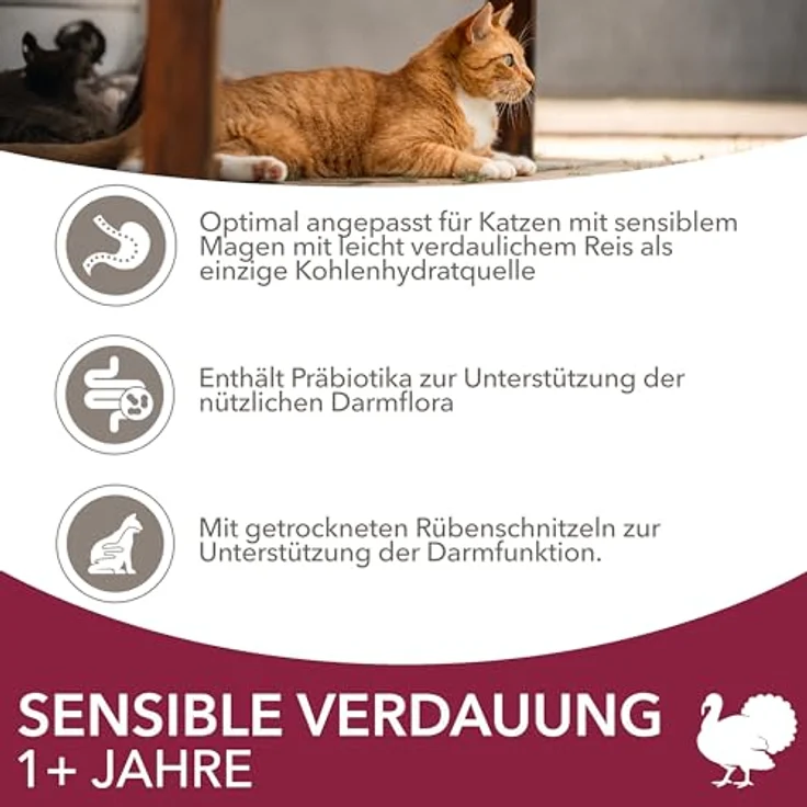 IAMS for Vitality Sensible Verdauung, Trockenfutter für Katzen mit empfindlichen Mägen, 3 kg mit hochwertigen tierischen Proteinen und gesunder Verdauungsunterstützung – Bild 3
