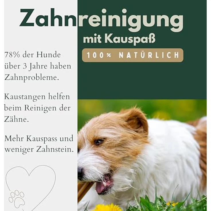 Hunde Helden BREERs Getrocknete Rinderohren mit Muschel, 1 Kg, Premium Hundesnack aus deutscher Herstellung, geruchsarm und gut verdaulich – Bild 4