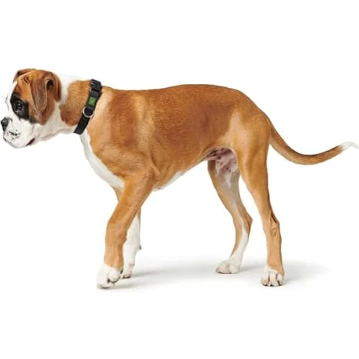 Hunter Hunde-Halsung Vario Basic orange M 2 – Bild 10