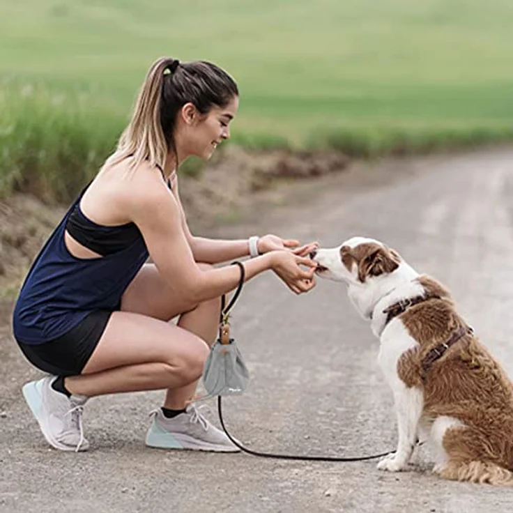 WOGOPRO Leckerlibeutel für Hunde, strapazierfähiger Canvas Hundefutterbeutel mit Clip und verstellbarem Kordelzug, grau – Bild 5