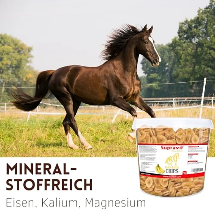 Supravit Bananenchips für Pferde, 2kg Eimer, knusprige Bananenscheiben aus 100% echten Bananen, gesundes Ergänzungsfutter, ideales Pferdeleckerli – Bild 3