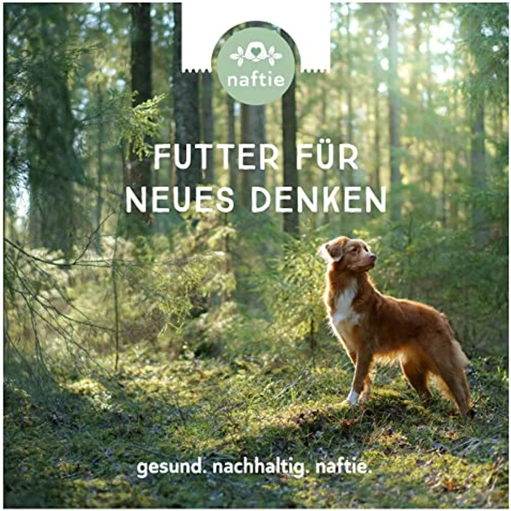naftie Bio Hundefutter Reinfleischdosen Mischpakete, 100% Reinfleisch pur, glutenfrei, getreidefrei, 6 x 800g – Bild 4