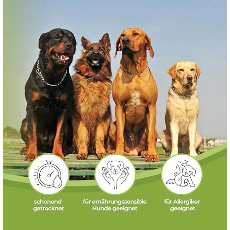Mascota vital Kaninchenohren, getreidefreier Hundesnack für sensible Tiere, 200g – Bild 6