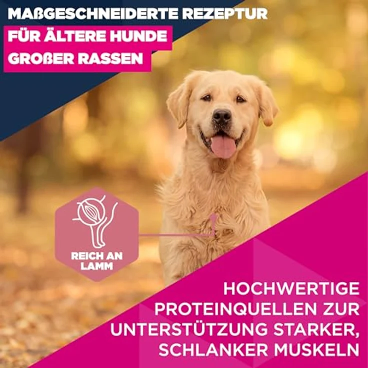 Eukanuba Senior Hundefutter mit Lamm und Reis für große Rassen, 12 kg - Premium Trockenfutter für ältere Hunde mit gesunder Verdauung und Gelenkschutz – Bild 3