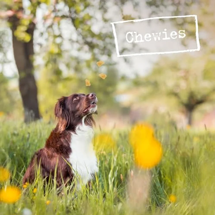 Chewies Büffelhorn für Hunde, gefülltes Kauhorn vom Wasserbüffel, natürliches Kauspielzeug, Zahnpflege und Spielspaß, Größe XL für Hunde bis 35 kg – Bild 4