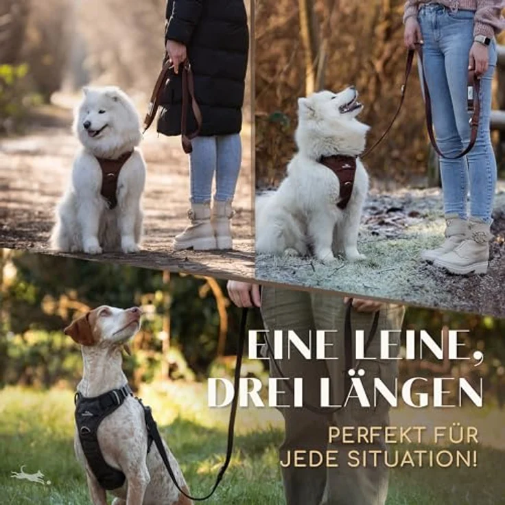 FREUDENTIER Hundeleine Model Clyde, 2m verstellbar, weich gepolstert, robust für mittelgroße & große Hunde, Braun, 25mm – Bild 4