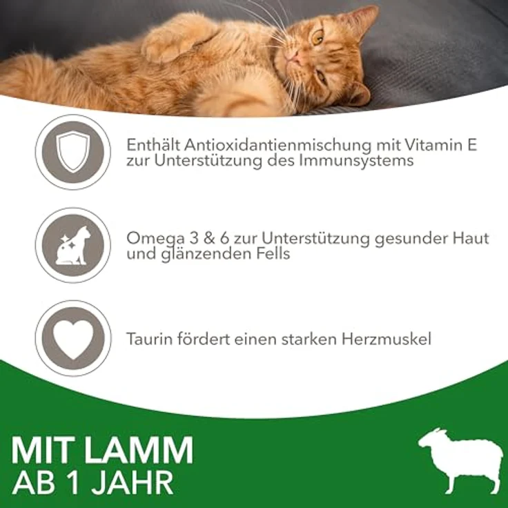 IAMS Katzenfutter trocken mit Lamm, ausgewogenes Trockenfutter für Katzen 1-6 Jahre, 3 kg, weizenfrei, mit Omega-3- und Omega-6-Fettsäuren – Bild 3