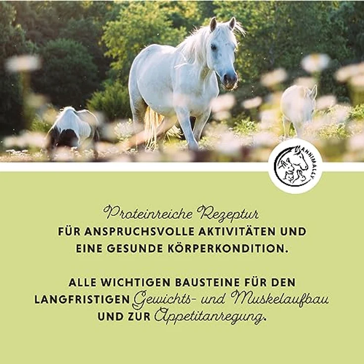 Annimally Weight Gainer Pulver für Pferde, Aufbaufutter mit Sojaprotein, Hanföl, Bockshornklee, Luzerne & Pfefferminze, vegan, ohne Zuckerzusatz, für Gewichts- und Muskelaufbau – Bild 2