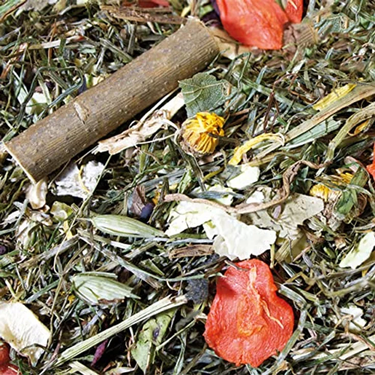JR Farm Grainless Herbs Zwergkaninchen, Getreidefreies Kleintierfutter mit Kräutern und Gemüse, 400g – Bild 3