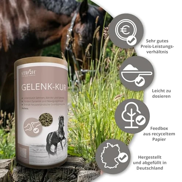 STRÖH Gelenk-Kur für Pferde, 1,1 kg Dose mit Grünlippmuschel, Kollagen, Antioxidantien & Omega-3-Fettsäuren zur Unterstützung von Gelenken, Bändern & Sehnen – Bild 5