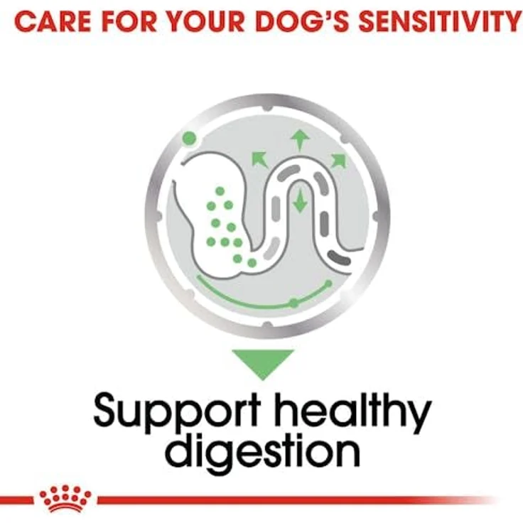Royal Canin Digestive Care, Nassfutter für Hunde mit empfindlicher Verdauung, 12x85g, ausgewogene Rezeptur zur Unterstützung der Darmflora – Bild 7