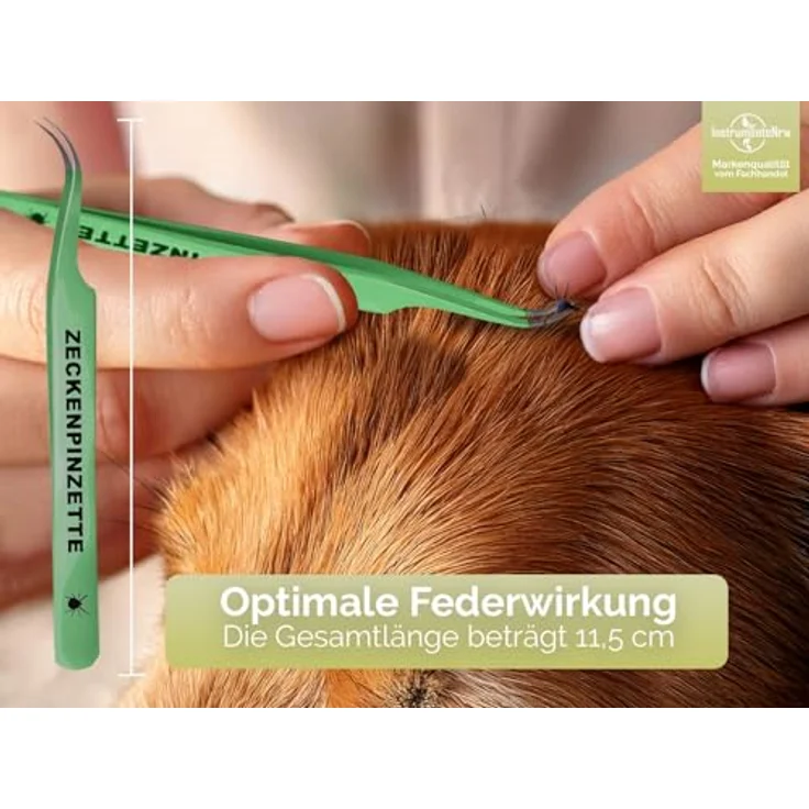InstrumenteNrw Zeckenzange Zeckenpinzette für Hunde & Katzen, Edelstahl rostfrei, 11,5 cm, grün mit Etui zur sicheren Zeckenentfernung – Bild 2