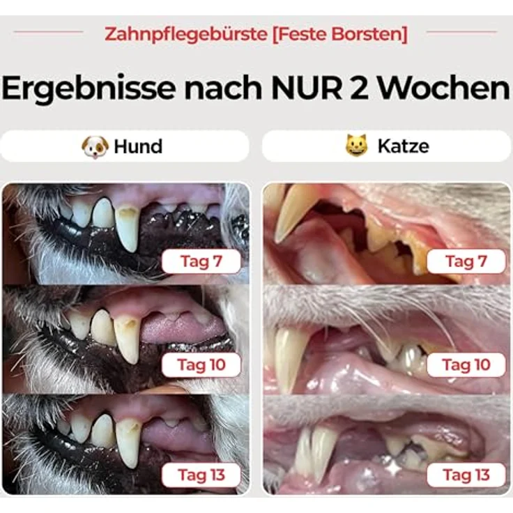 JAYU PET Zahnpflegebürste mit festen Borsten – Robuste Zahnbürste zur effektiven Zahnstein- und Plaque-Entfernung bei Hunden, ergonomisches Design mit horizontalem Kopf und S-förmigem Griff – Bild 2