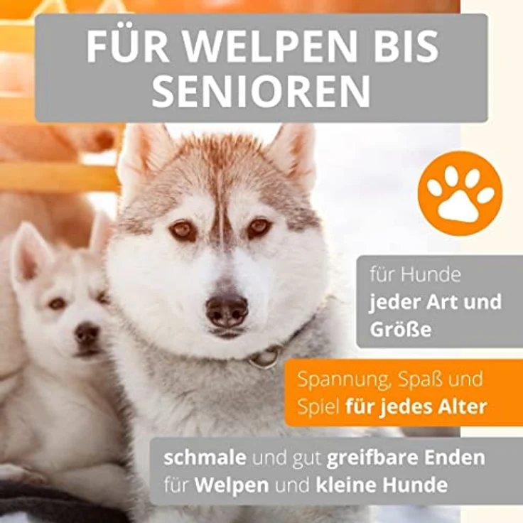 AMATHINGS Hundespielzeug Set Doppelpack Snackball und Snackrugby – 100% Naturkautschuk, zahnreinigend, für alle Hunderassen geeignet – Bild 5