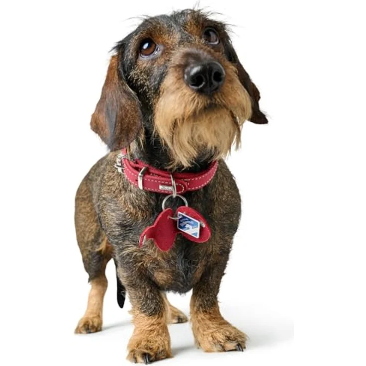HUNTER Anhänger Hundemarken-Etui Aalborg, rot, Größe M, schont Hundemarken und verhindert Klimpern – Bild 5