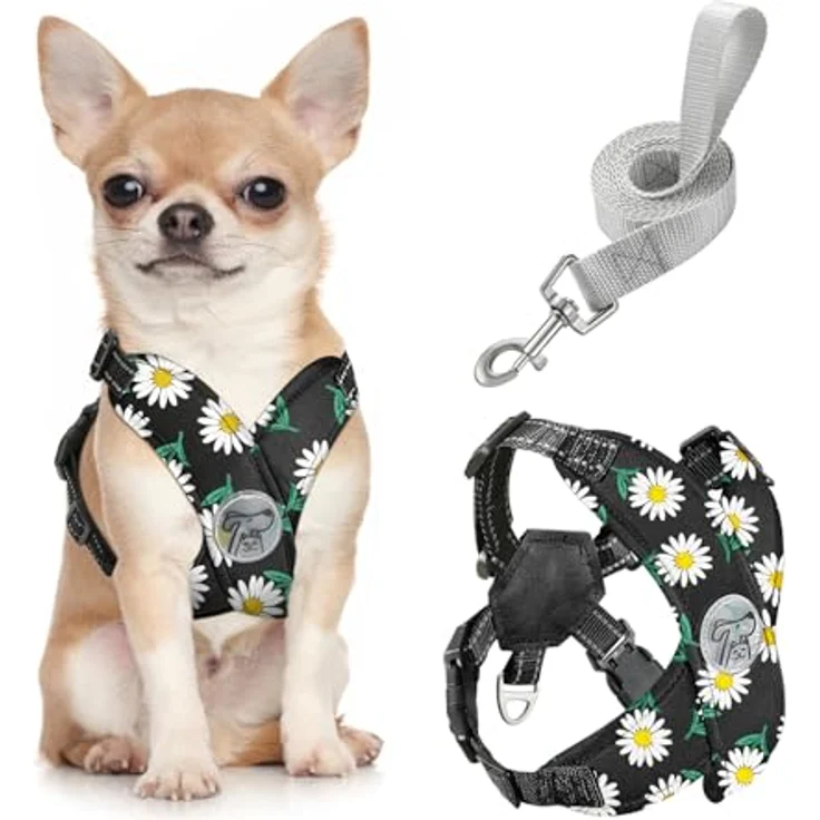 Pawaboo X-Rahmen Hundegeschirr mit Leine, verstellbares Anti-Zug Brustgeschirr für kleine und mittelgroße Hunde, S, schwarze Gänseblume – Bild 1
