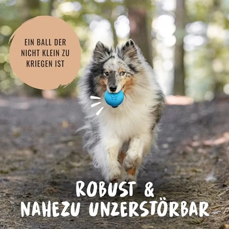 Rudelkönig Hundeball aus Naturkautschuk, blauer 6,5 cm Ø Ball, nahezu unzerstörbares Hundespielzeug für gesunde Zähne und Zahnfleisch – Bild 2