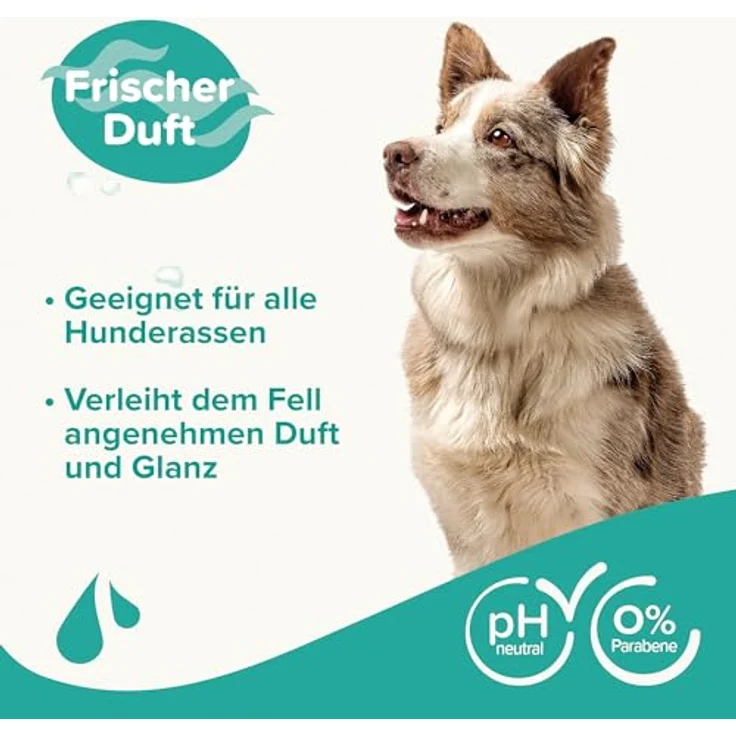 BEAPHAR Universal Fellglanz Shampoo, für Hunde aller Rassen, mit Macadamiaöl und Aloe Vera, pH-neutral, 1L – Bild 3