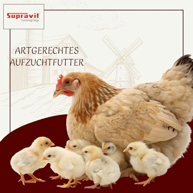 Supravit Kükengrütze 2,5 kg – Hochwertiges Ergänzungsfutter für Hühnerküken, Wachteln & Ziergeflügel | Optimal für die Aufzucht von Küken 0–6 Wochen | Made in Germany – Bild 5