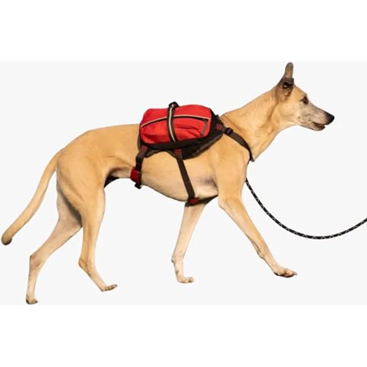 iEnergy MAL Rucksack für Hunde S – Bild 2