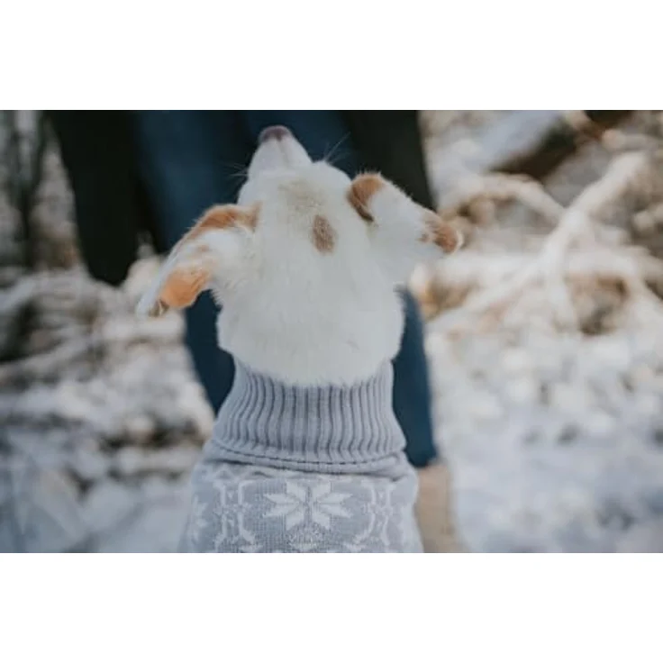 Hunter Dogcoat Birka 45, Hundepullover aus Chenillegarn mit Norweger-Muster, pflegeleicht und warm, für Halsumfang 29-36 cm und Bauchumfang 48-56 cm – Bild 9