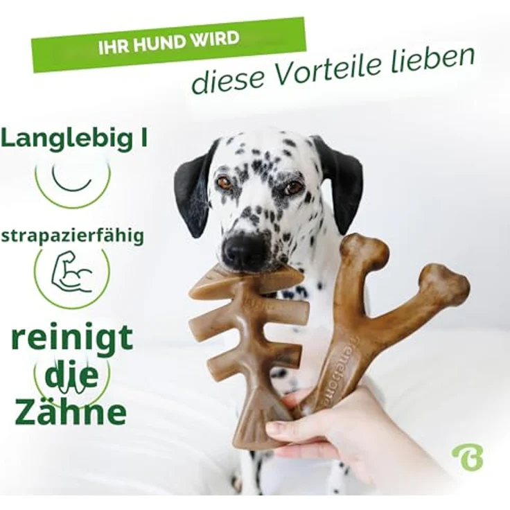Benebone 2er Fishbone/Wishbone Kauspielzeug, Hundeknochen aus echtem Speck und Lachs, S – Bild 3
