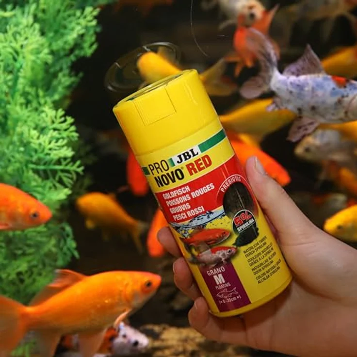 JBL PRONOVO RED FLAKES M, Prebiotisches Goldfischfutter mit Astaxanthin für optimale Farbausbildung, 250 ml – Bild 4