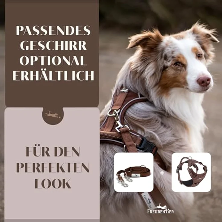 FREUDENTIER Hundeleine Model Clyde, 2m verstellbar, weich gepolstert, robust für mittelgroße & große Hunde, Braun, 25mm – Bild 5