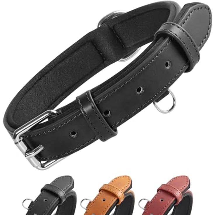 Grand Line Leder Hundehalsband, verstellbares, weich gepolstertes Halsband für kleine bis große Hunde, Schwarz, Größe M – Bild 1