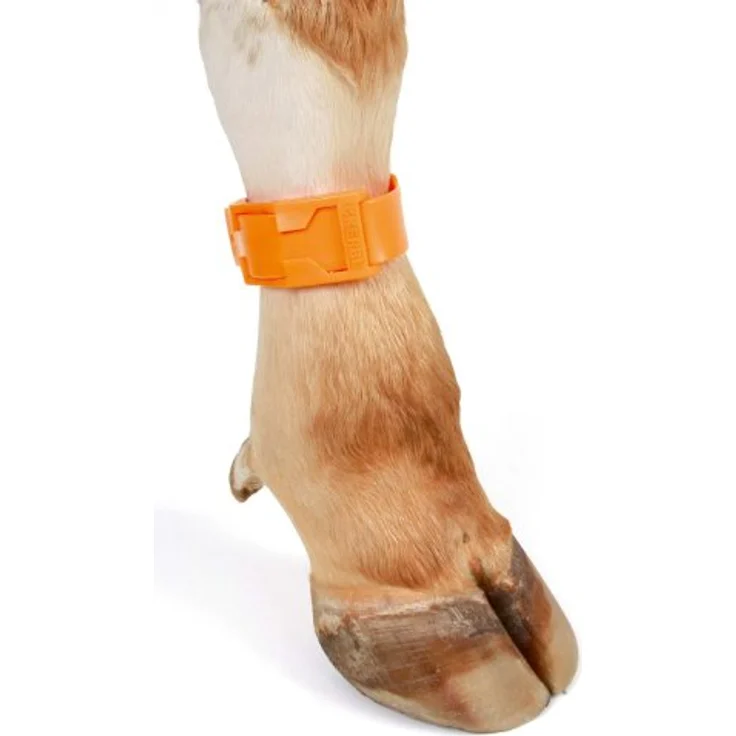 Kerbl Fesselband, Kunststoff orange, 10 Stück im Pack – Bild 2