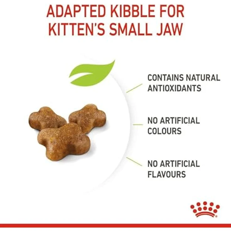 ROYAL CANIN Kitten 400 g, hochwertiges Katzenfutter für Kätzchen mit erhöhtem Proteingehalt und patentiertem Antioxidanzienkomplex – Bild 7