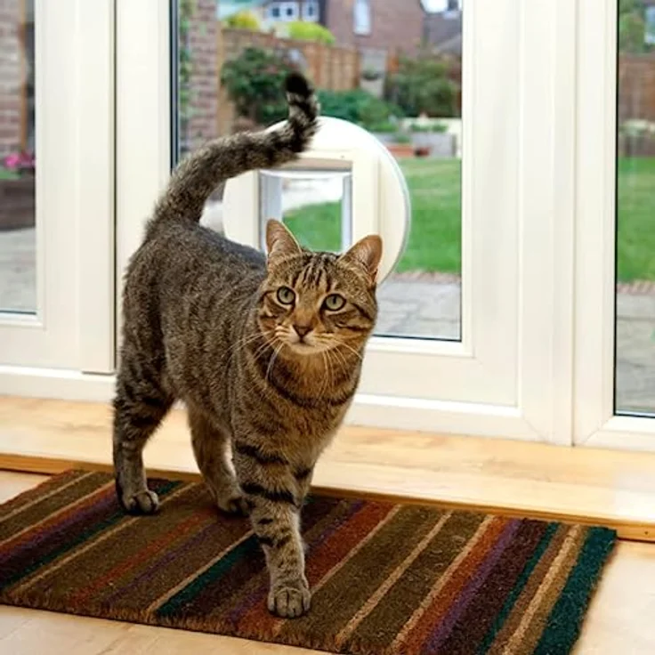 SureFlap Sure Petcare Mikrochip Katzenklappe, mit RFID-Halsbandanhänger, Ein-Tasten-Steuerung, weiß, batteriebetrieben (4 AA, nicht enthalten) – Bild 3