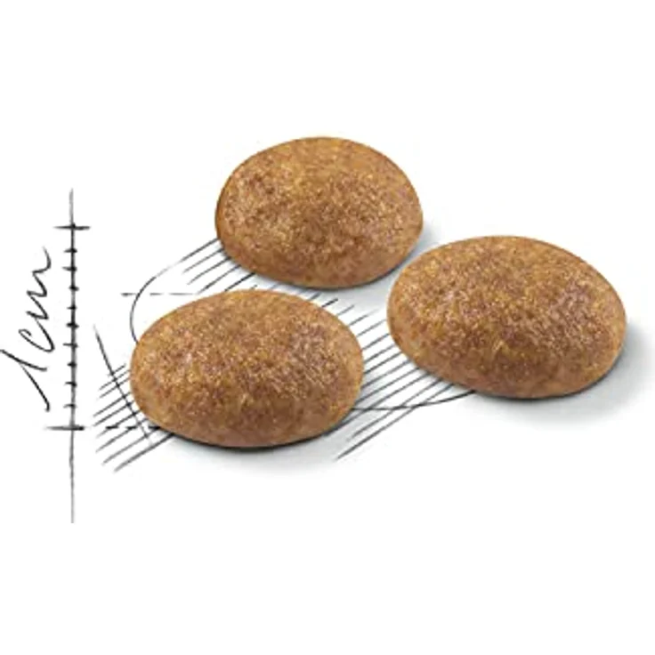 Royal Canin Outdoor 55176, Katzen-Trockenfutter, 2 kg für aktive Katzen – Bild 2