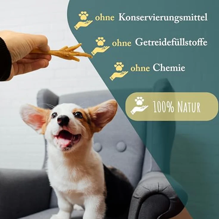 WuffSnacks Getrocknete Hühnerfüße für Hunde, 10 kg, 100% natürlich, Kauartikel für optimale Zahnpflege und wenig Fett – Bild 4