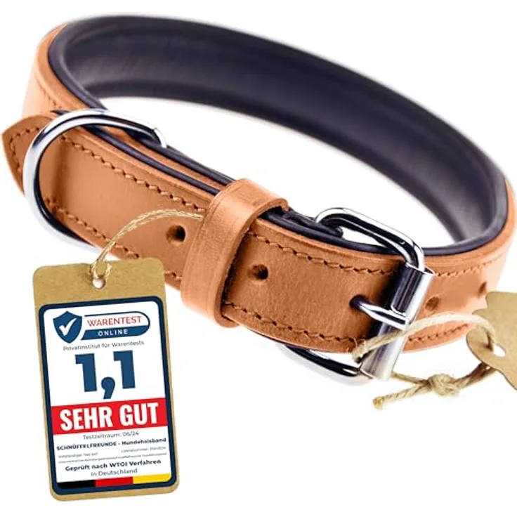 Schnüffelfreunde Hundehalsband aus Leder, gepolstert und robust für große, mittlere und kleine Hunde, XL (46-55 cm), beige