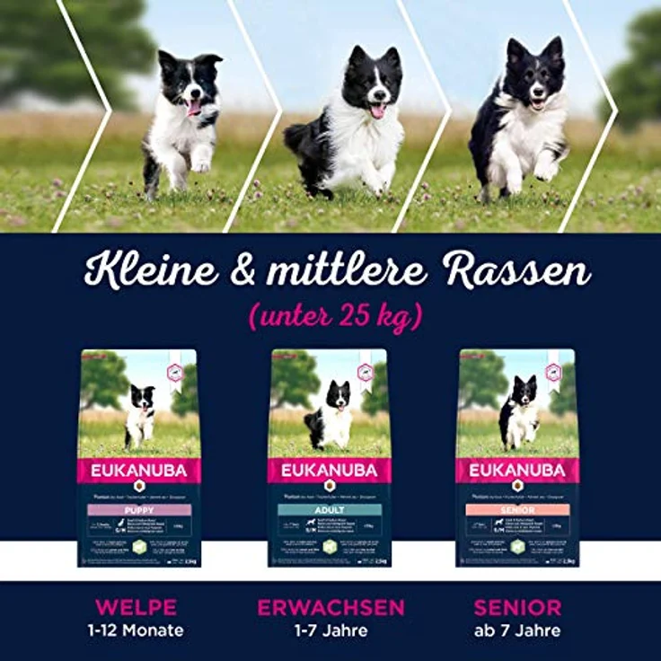 Eukanuba Welpenfutter mit Lamm & Reis, Trockenfutter für kleine und mittelgroße Rassen, 2,5 kg, für gesunde Verdauung und glänzendes Fell – Bild 5