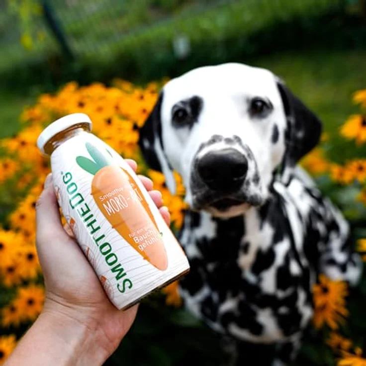 SmoothieDog Hunde Smoothie 6er Mix, Immunio (Rind) & Morosuppe, zucker- & glutenfrei, 6 x 250ml – Bild 4