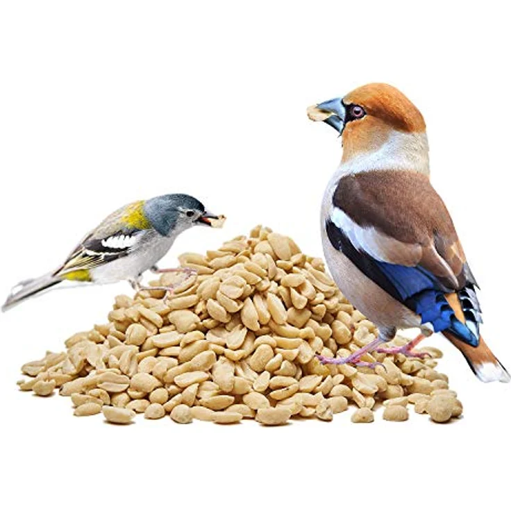 Paul´s Mühle Erdnüsse für Vögel, gehackte Erdnusskerne, Premiumqualität, 5 kg, Ernte 2025, ganzjährig geeignet – Bild 4