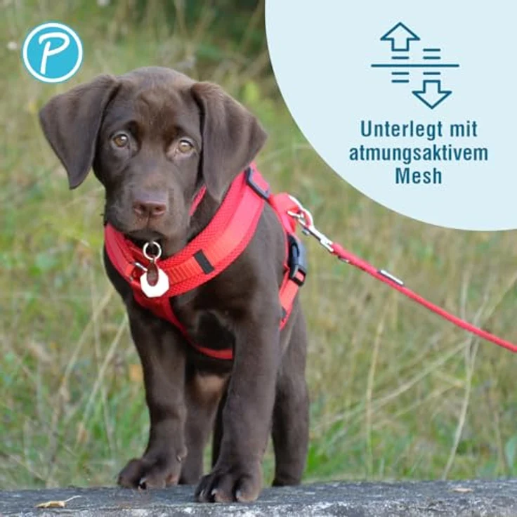 Petlando Hundeleine 2m Mesh weich gepolstert, Rot, 3-fach verstellbar für optimale Flexibilität, 230x1,5cm – Bild 3