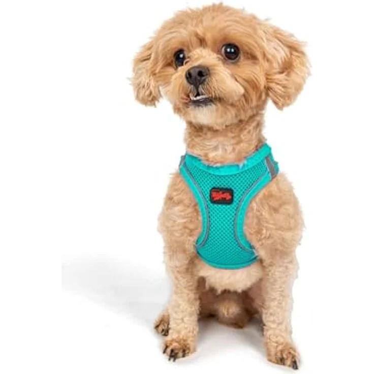 Tailpetz Air-Mesh Brustgeschirr für kleine und mittelgroße Katzen und Hunde – Weich, Atmungsaktiv, Strapazierfähig, Türkis, 3XS (Brustumfang 28–30,5 cm) – Bild 1