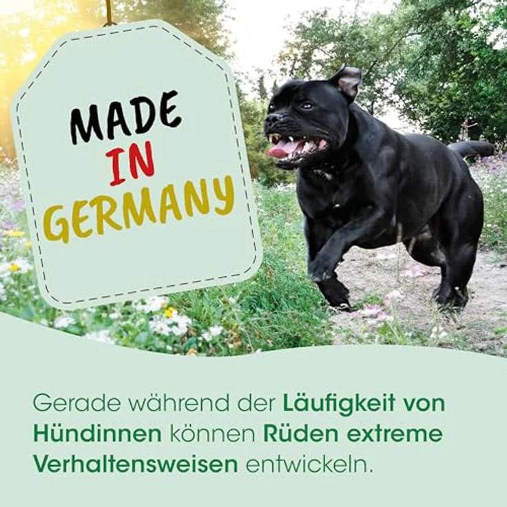 cdVet TriebRegulat für Hunde, Natürliche Unterstützung beim Triebverhalten mit Mönchspfeffer, Ergänzungsfuttermittel, 120g, ohne Zusätze – Bild 3