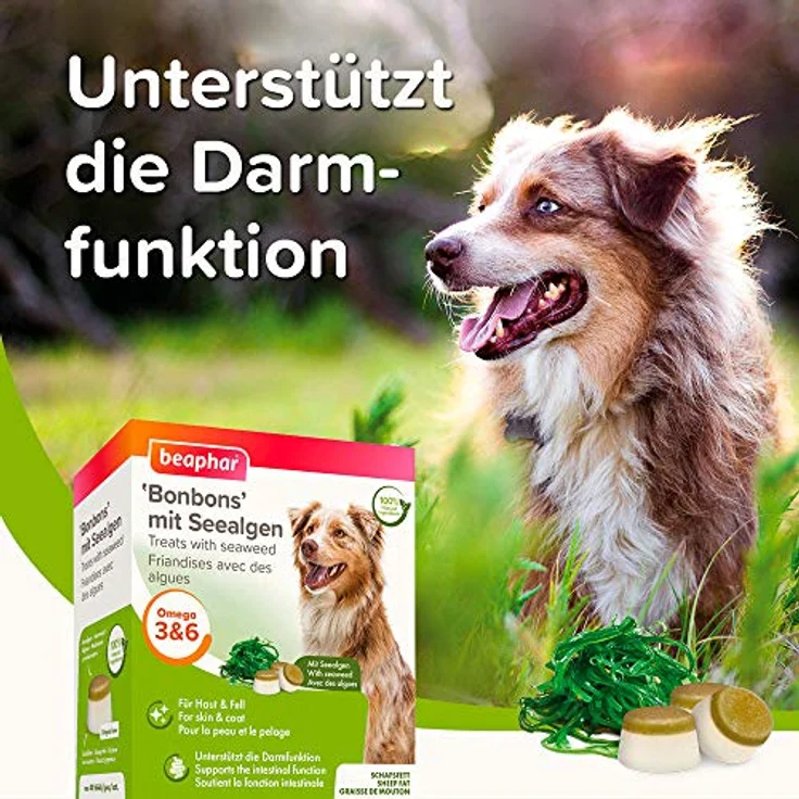BEAPHAR Bonbons mit Seealgen für Hunde, Schafsfett und Seealgen, fördert gesundes Fell und Verdauung, 40 Bonbons, 245 g – Bild 4