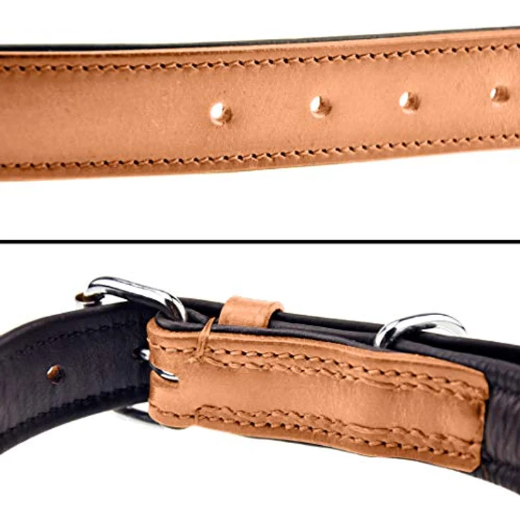 Schnüffelfreunde Hundehalsband aus Leder, gepolstert und robust für große, mittlere und kleine Hunde, XL (46-55 cm), beige – Bild 3