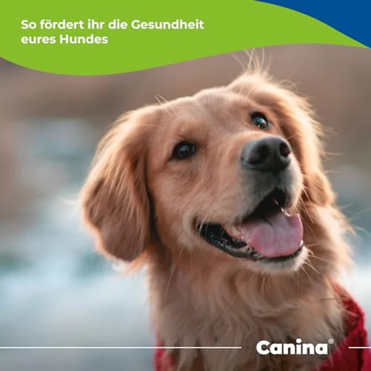 Canina Canipulver, 1 kg, biologisches Kraftkonzentrat mit Vitaminen, Mineralstoffen und Spurenelementen für Hunde – Bild 4