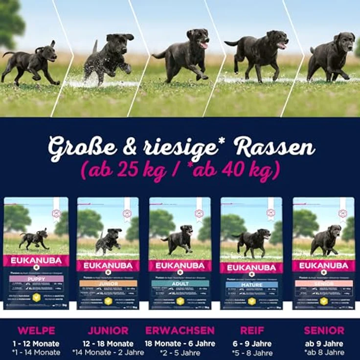 Eukanuba Hundefutter mit frischem Huhn für große Rassen, Premium Trockenfutter für Senior Hunde ab 9 Jahren, 3 kg – Bild 5