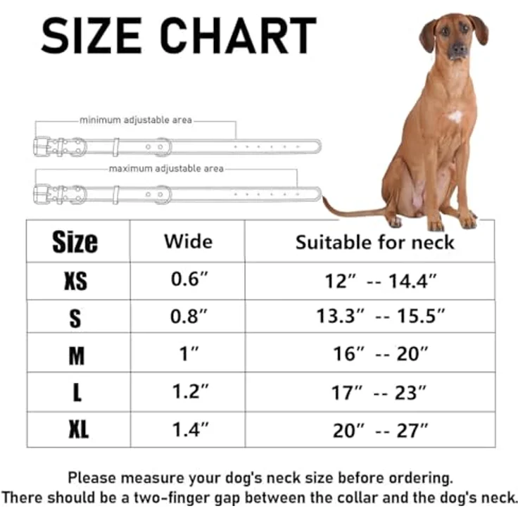 SLZZ Prämie Echtes Leder Hundehalsband, personalisierbar mit goldenem ID-Etikett, für kleine bis große Hunde (XS-XL) – Bild 4