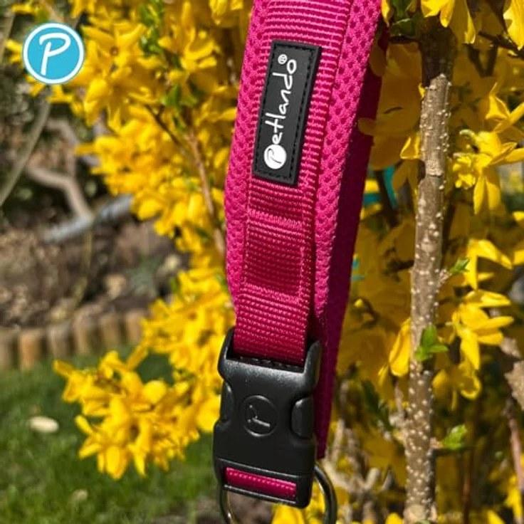 Petlando Mesh Hundehalsband, leicht und atmungsaktiv, weich gepolstert, stufenlos verstellbar, robust, 3XS 25-30cm, Fuchsia – Bild 4