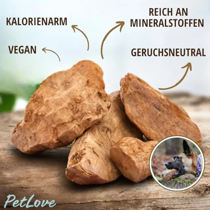 PetLove Kauwurzel für Hunde aus Baumheide, hypoallergenes Kauspielzeug, L (450-699g) ohne Zusätze und Chemie, für große Hunde – Bild 4